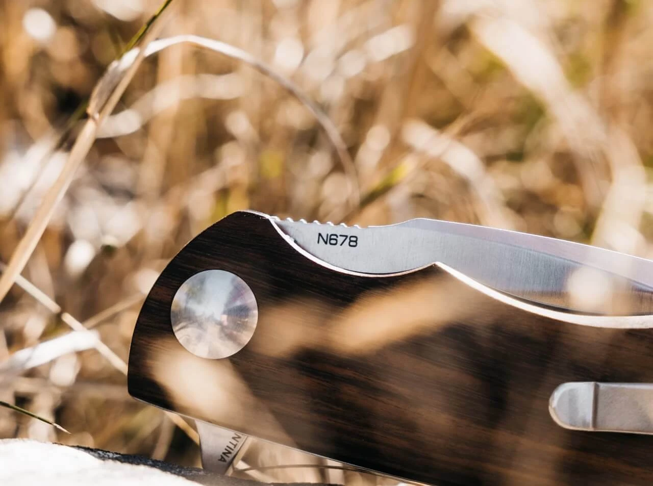 Folder Nahuel Guayacan 8 Folder Nahuel Guayacan – Bild 6